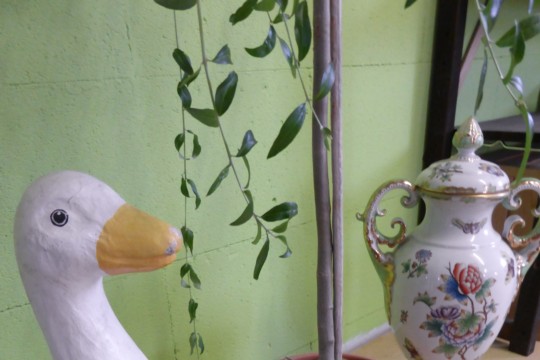 2014-07-07 15.52.42.jpg